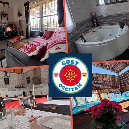 Le Cosy Occitan Villa Chaleureuse Independante Baignoire Terrasse Jardin 카르카손 외부 사진