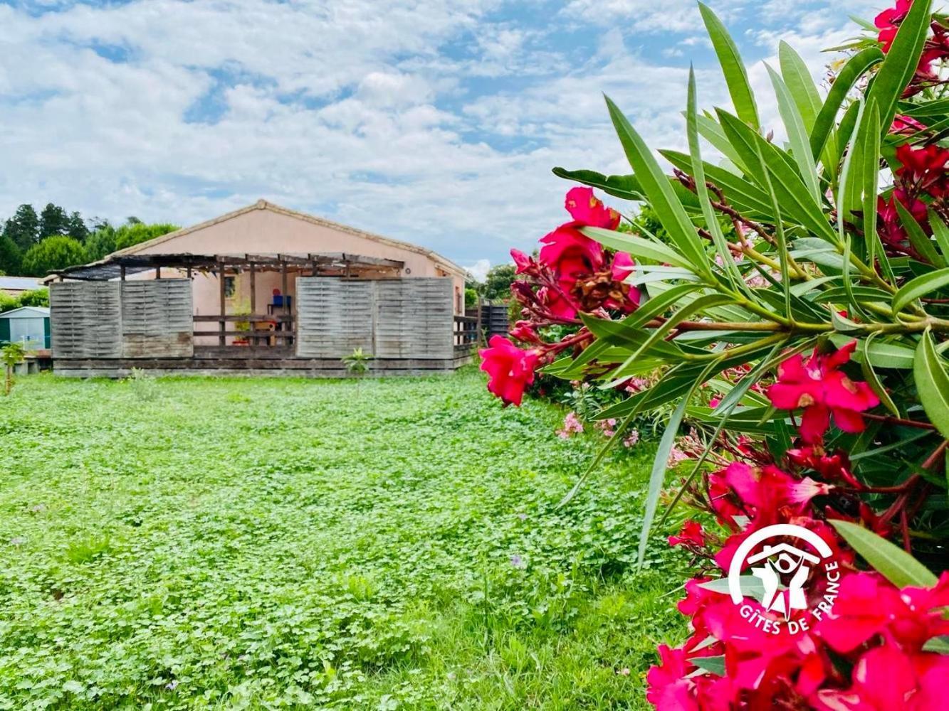 Le Cosy Occitan Villa Chaleureuse Independante Baignoire Terrasse Jardin 카르카손 외부 사진